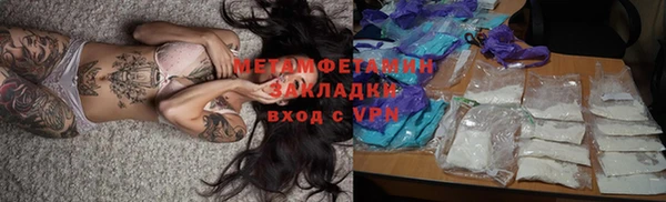 прущие грибы Дмитриев