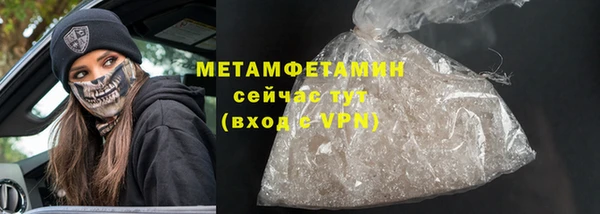 прущие грибы Дмитриев