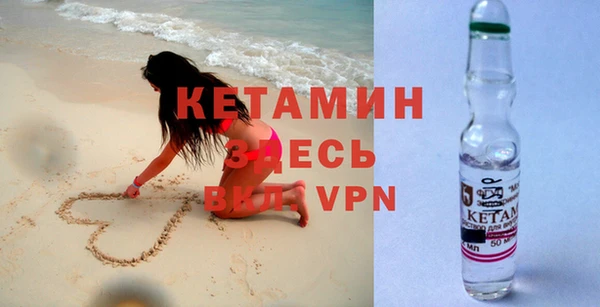 прущие грибы Дмитриев