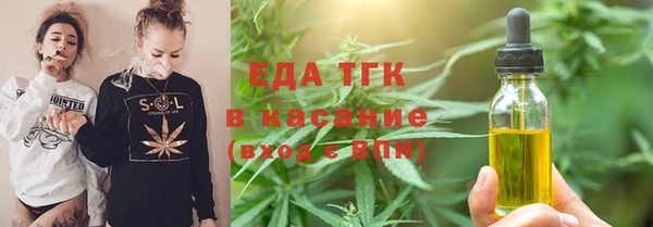 прущие грибы Дмитриев