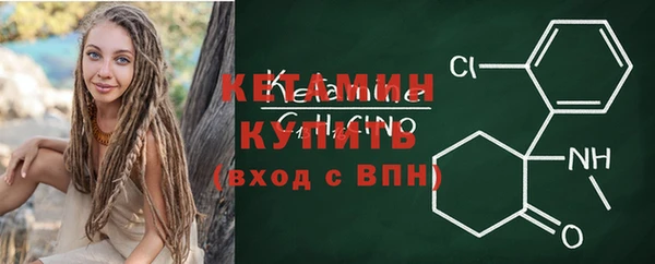 прущие грибы Дмитриев