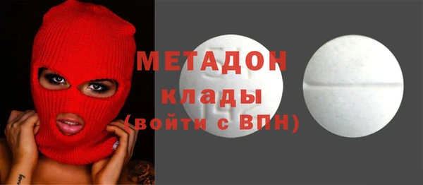 прущие грибы Дмитриев