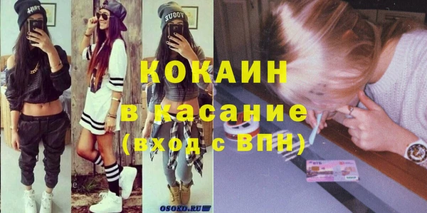 прущие грибы Дмитриев