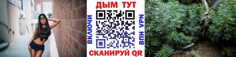 Купить закладки  Задонск  Канабис конопля 